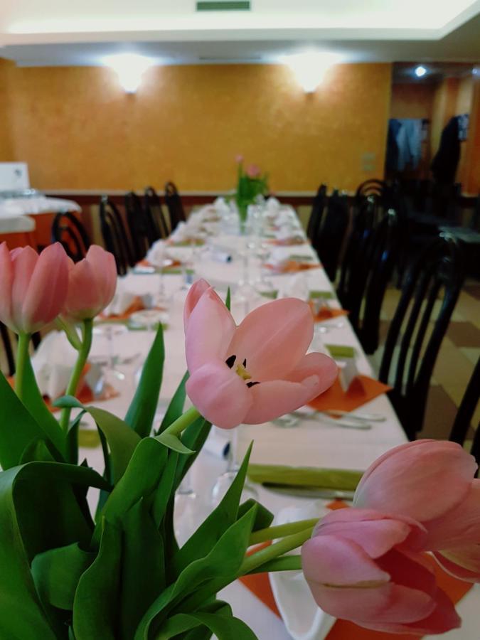 Albergo Ristorante Il Delfino Novara Ngoại thất bức ảnh